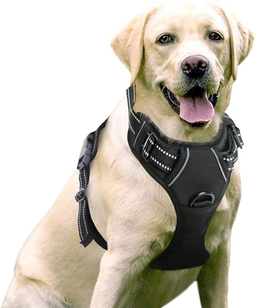 harnais pour chien amazon promo